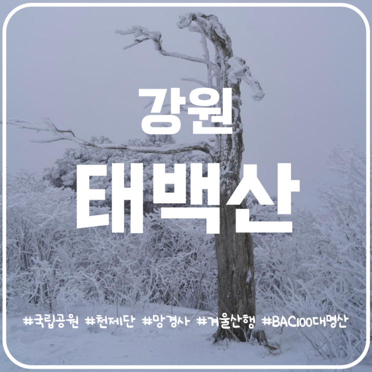 겨울산행지 추천 강원 태백산 겨울산행 태백산 등산코스 겨울산행지 추천 강원 태백산 겨울산행 태백산 등산코스