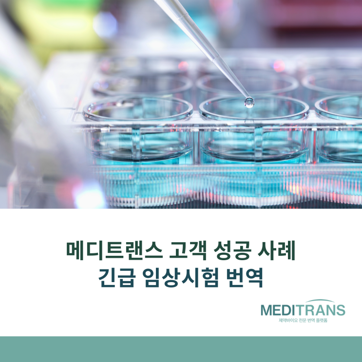  메디트랜스 고객 성공 사례: 임상시험용 주사제 SAE 긴급 번역 프로젝트
