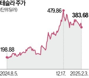 "테슬라 반토막 날 것" 경고에도…35조 베팅한 서학개미 "테슬라 반토막 날 것" 경고에도…35조 베팅한 서학개미