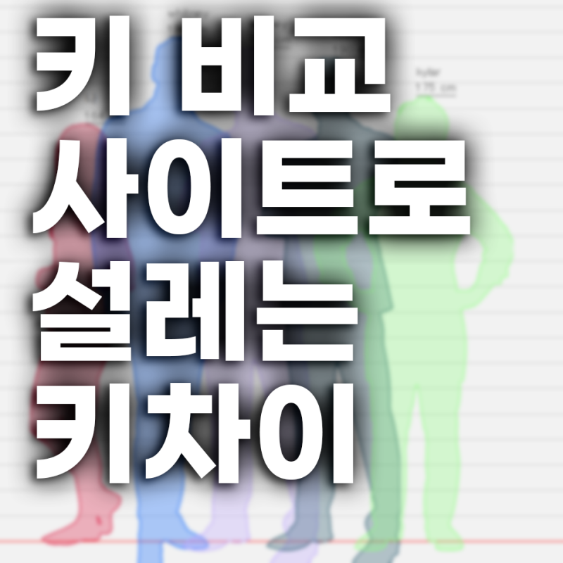 키 비교 사이트로 설레는 키 차이 확인하는 방법