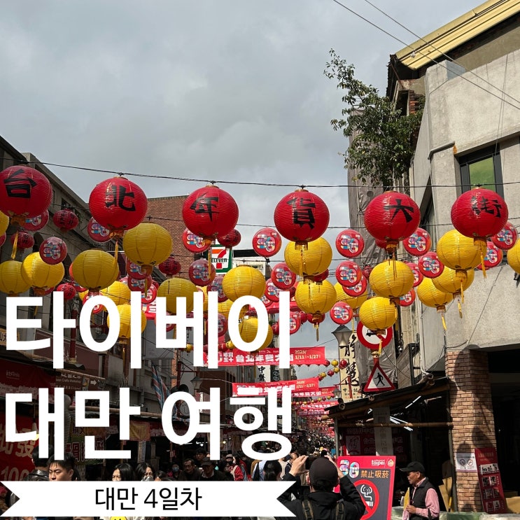  [대만여행 4일차] 혼자 다녀온 타이베이 여행 - 이이팔 화평공원, 디화제 춘절 풍경, 대만물산, 세운식품, 대만 기념품 구입
