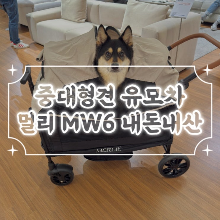  중대형견 강아지 유모차 웨건 멀리 MW6 내돈내산 리뷰