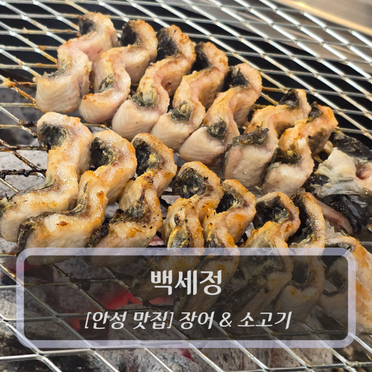  안성 맛집 :: 백세정 - 안성장어 공도맛집