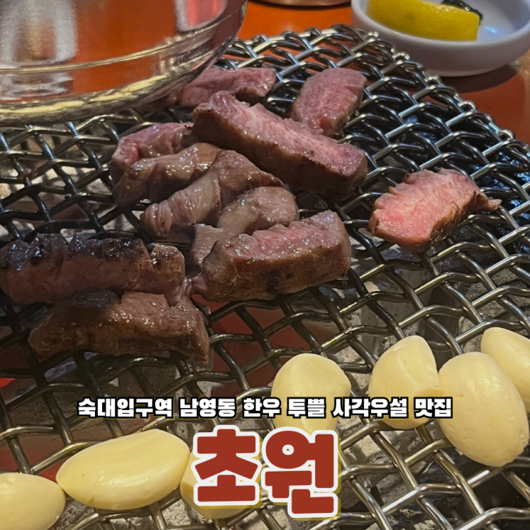  용산 남영동 숙대입구역 한우 우설맛집 명소 초원
