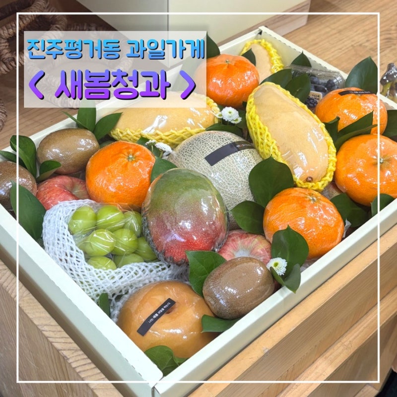 진주 농할상품권사용처 새봄청과 평거동 과일가게
