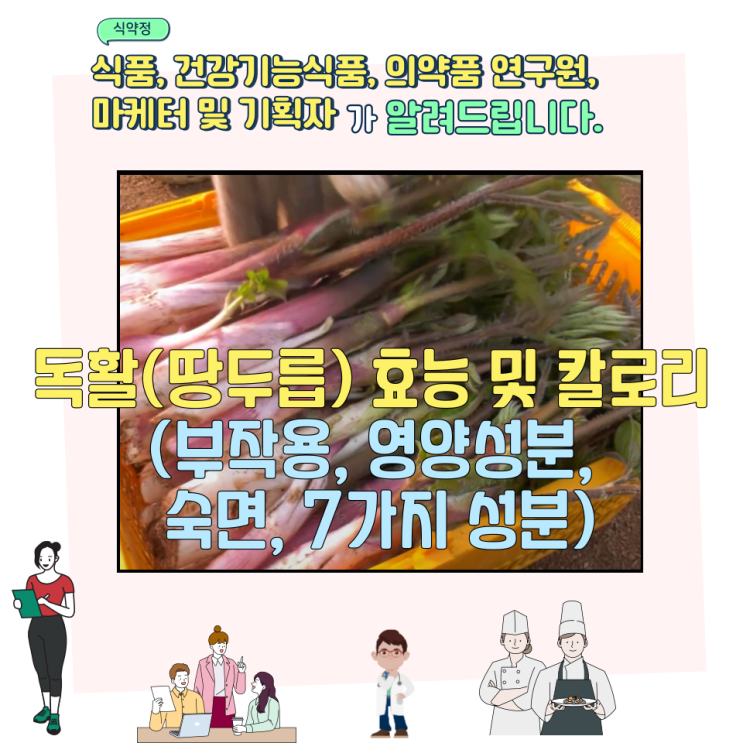  독활(땅두릅) 효능 및 칼로리 (부작용, 영양성분, 숙면, 7가지 성분)