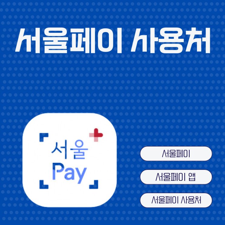  서울페이 사용법 사용처 가맹점 (ft. 손목닥터9988)