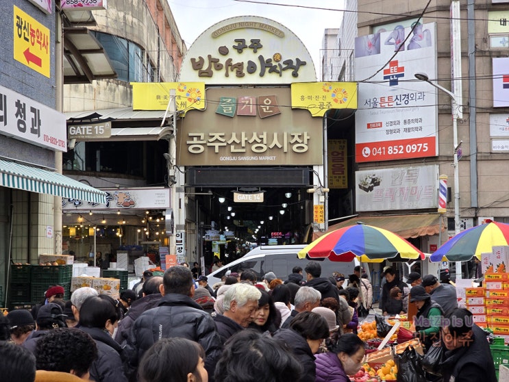  25년 설명절 연휴 보내기