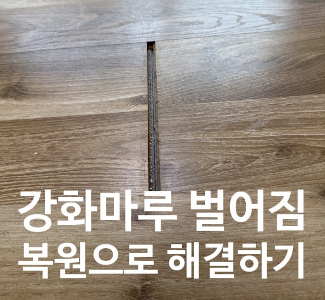  전세집 강화마루 벌어짐 복원하기