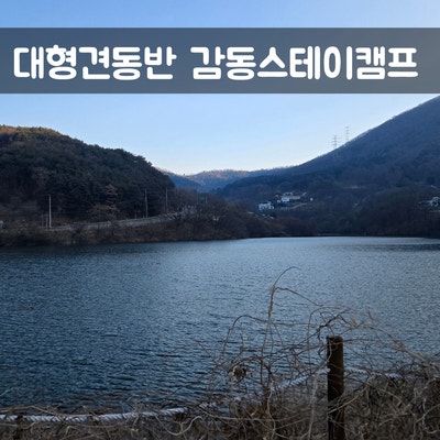 사진 5