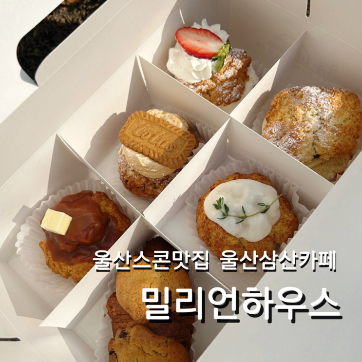  울산 삼산동 카페 밀리언하우스 스콘 선물세트 답례품 추천 맛집