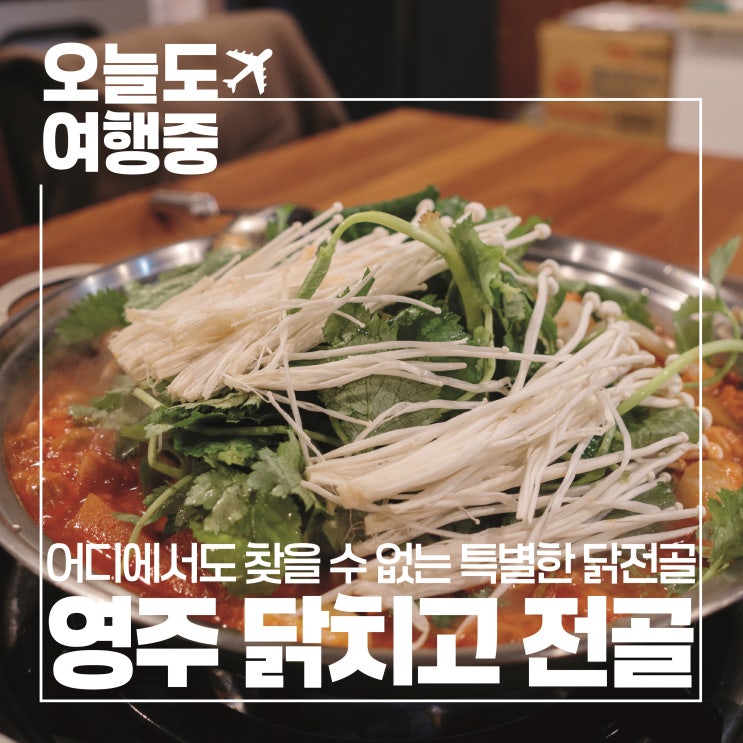  [영주맛집/영주밥집] 100% 순살닭다리살로 만든 특별한 닭전골 영주택지맛집 닭치고 전골