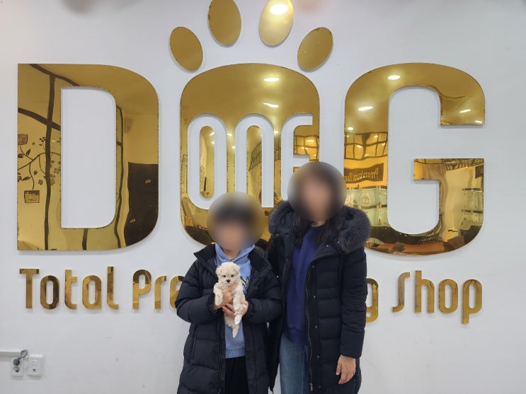  믿고 찾는 세종시 강아지분양! 아들이 선택한 말티푸 왕자님과 행복한 시작