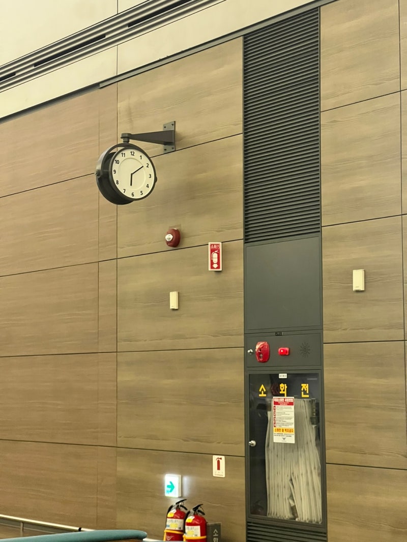 ✈️ 비행기 지연 보상 청구 후기(3시간 30분 지연, 보험으로 보상받기!, 카카오페이손해보험 ....