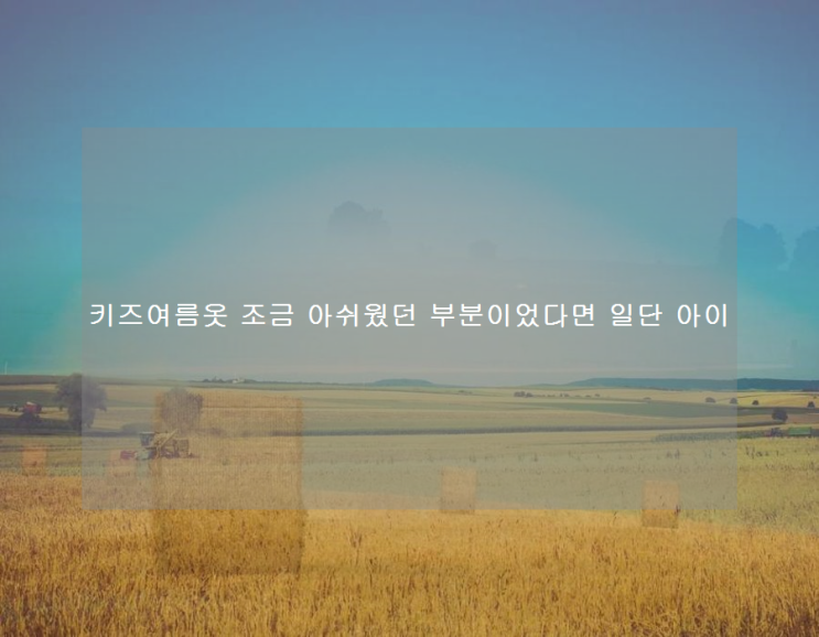  키즈여름옷 조금 아쉬웠던 부분이었다면 일단 아이