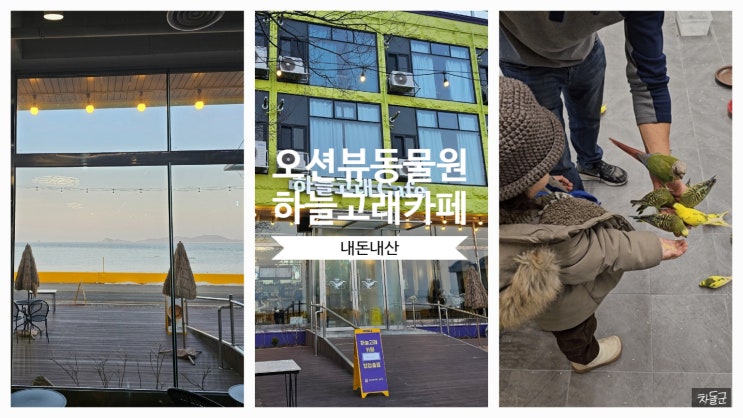  인천 영흥도 뷰맛집 하늘고래카페 (동물먹이주기체험 어항물멍)