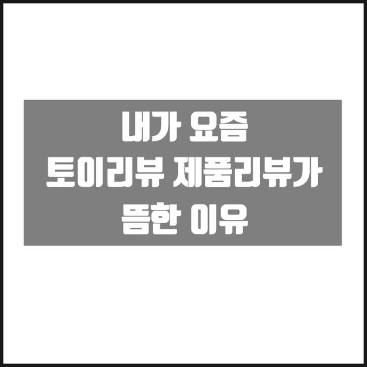 요즘 토이 리뷰 제품 리뷰가 뜸 한 이유 그리고 우파블로거 요즘 토이 리뷰 제품 리뷰가 뜸 한 이유 그리고 우파블로거