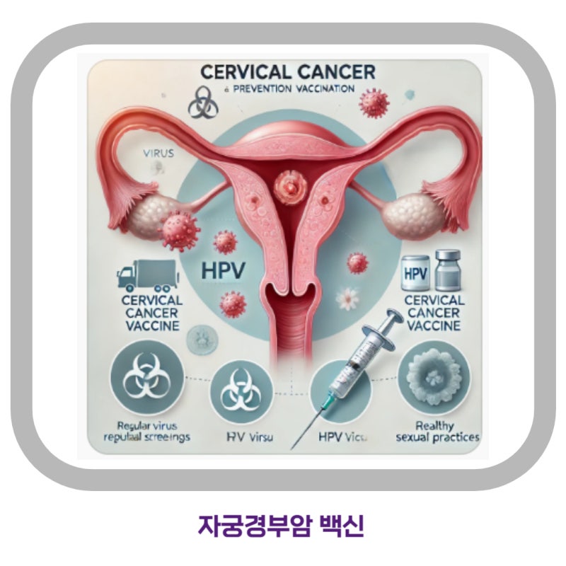 자궁경부암 백신 가격 나이 주기 접종 방법: 예방과 중요성
