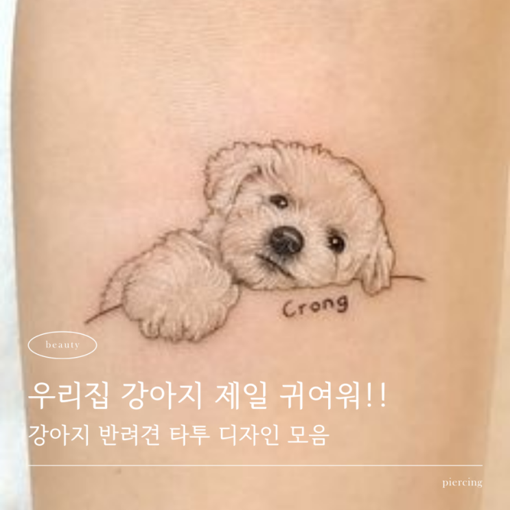  강아지 반려견 타투! 미니 사이즈 발바닥 디자인 가격