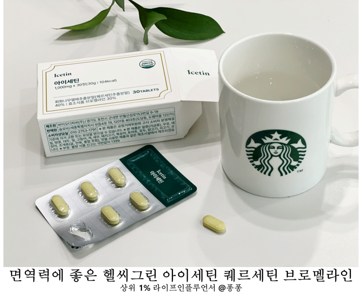  면역력에 좋은 케르세틴 건강기능식품 헬씨그린 아이세틴 퀘르세틴 브로멜라인 파이토 케미컬 비염 영양제