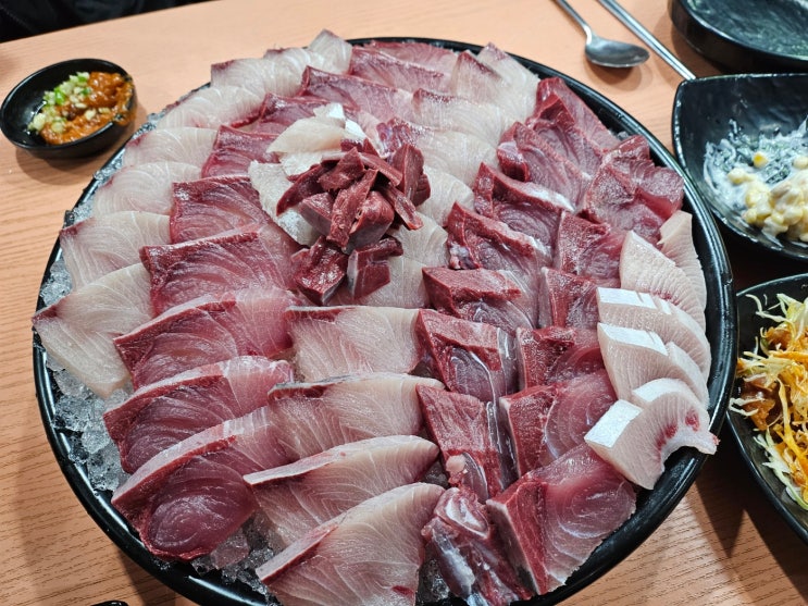  장안구 맛집 월드오징어바다 영화점에서 만난 신선한 횟감