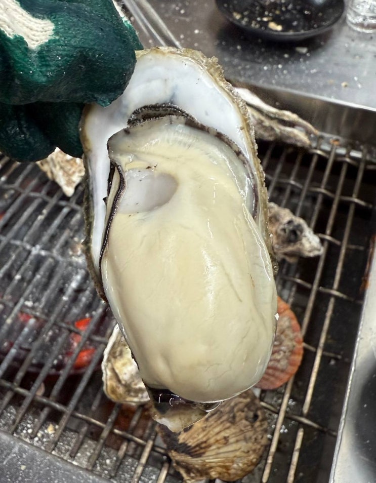  [천북굴단지 맛집 깐돌네굴집] 내돈내산 굴찜에 이어 굴구이섭렵! 아침식사까지 완벽!