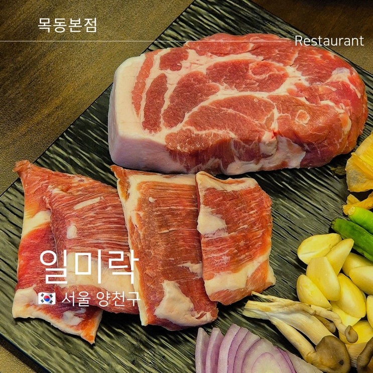  목동 맛집 일미락 본점 돼지고기 발효숙성 후기