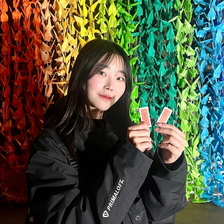  일본/후쿠이 [사카에노 야시로 신사] 후쿠이 역 근처 종이학으로 꾸며져 있는 신사 ! 영업 정보, 오미쿠지, 방문 후기까지 총정리