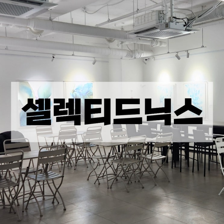  강남 대형 카페 셀렉티드닉스 공부하기 좋은 카페
