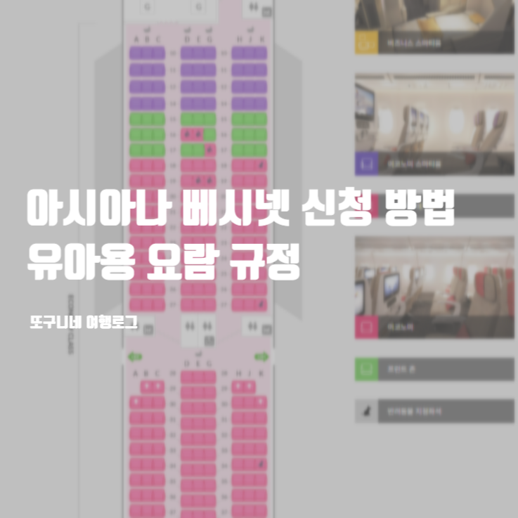  아시아나 베시넷 신청 방법, 유아용 요람 규정