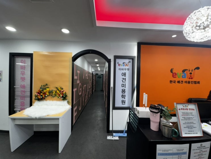  대전 애견미용학원 자격증부터 실습, 취업 창업까지