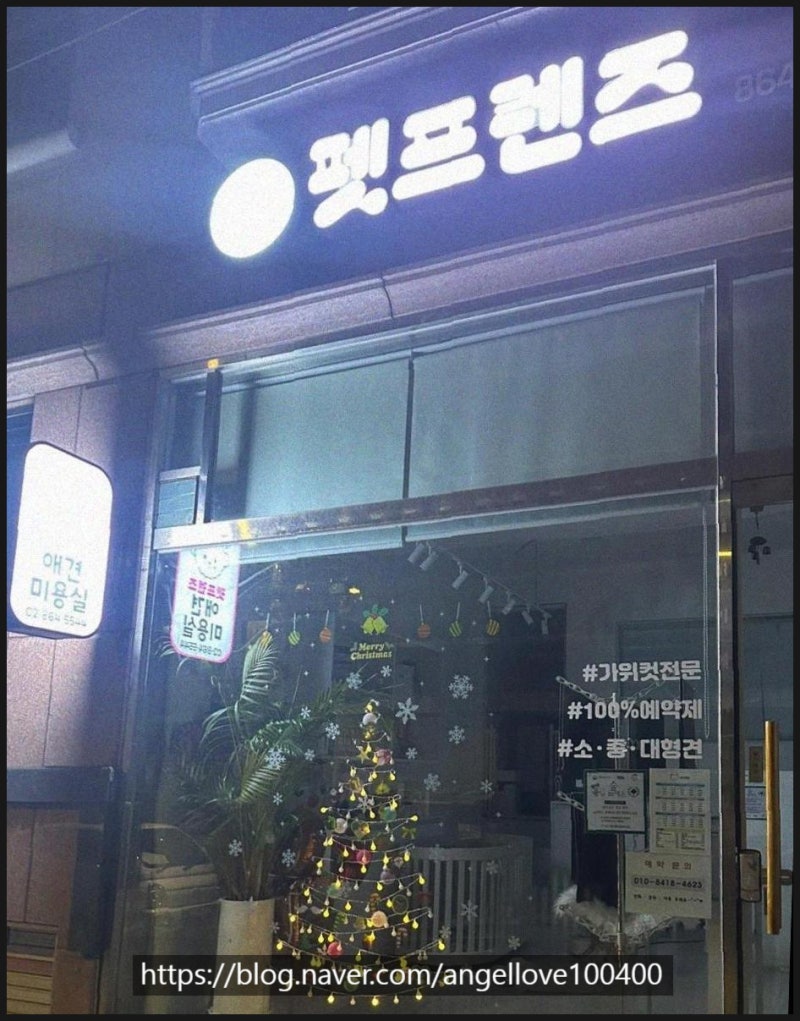 사진 4