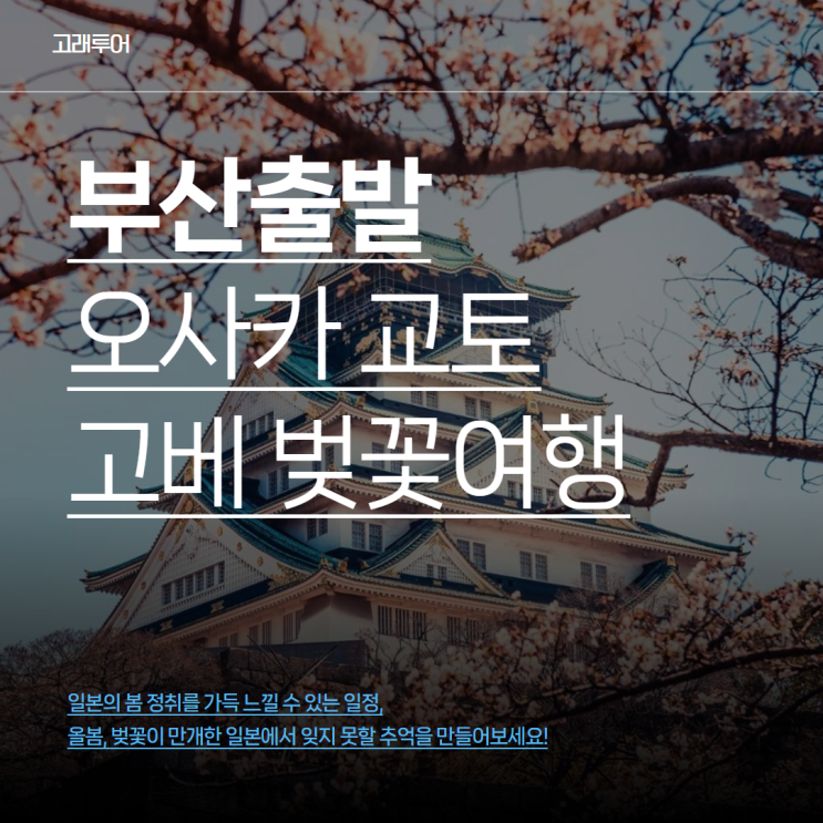  부산출발ㅣ2025 일본 벚꽃여행 오사카 교토 고베 3박 4일 일정 및 경비 총정리