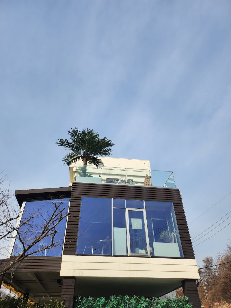 쇼어