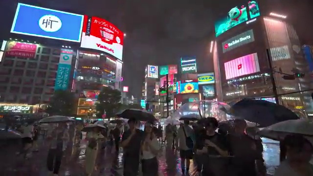  여행 준비물 리스트, 놓치지 말아야 할 아이템들!