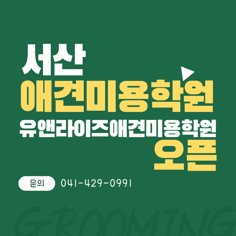 사진 4
