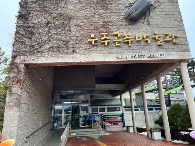  아이와 함께 신기한 곤충 탐험! 반디랜드 내 무주 곤충박물관 방문 후기
