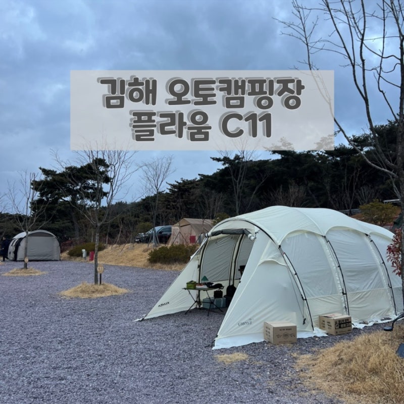 사진 2