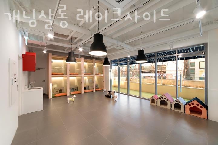 사진 2
