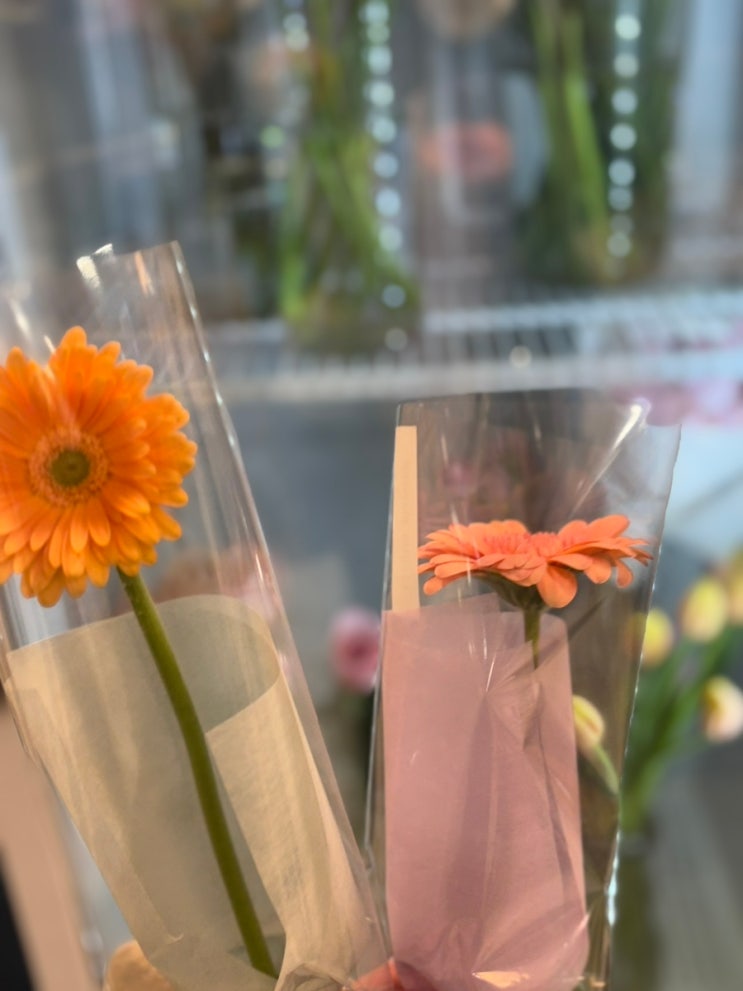  [서울/교대역] 시트러스플라워_급하다 급해! 꽃 한 송이 주세요! 내돈내산 솔직후기 (추천)