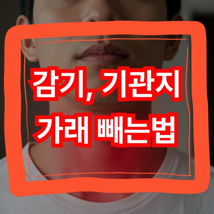  감기 기관지 가래 빼는법으로 답답한 목 해결하는 방법!
