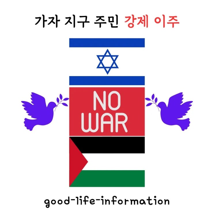 트럼프, 가자 지구 주민 150만 명 강제 이주 제안… 속내는 무엇인가? 트럼프, 가자 지구 주민 150만 명 강제 이주 제안… 속내는 무엇인가?