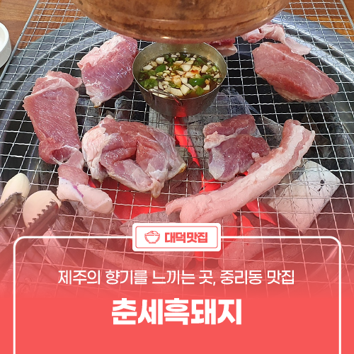 춘세흑돼지 사진 1