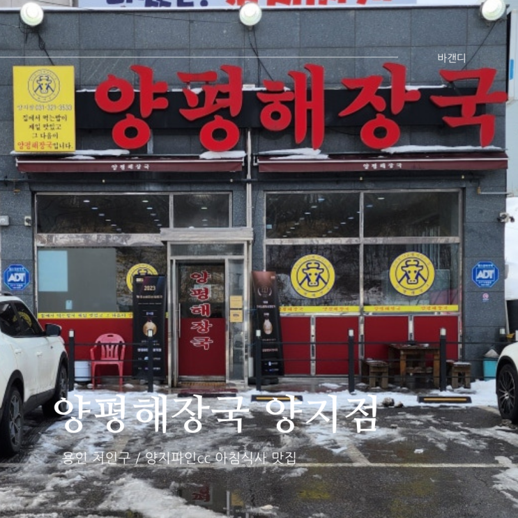  양지파인cc 아침식사 맛집 양평해장국 양지점