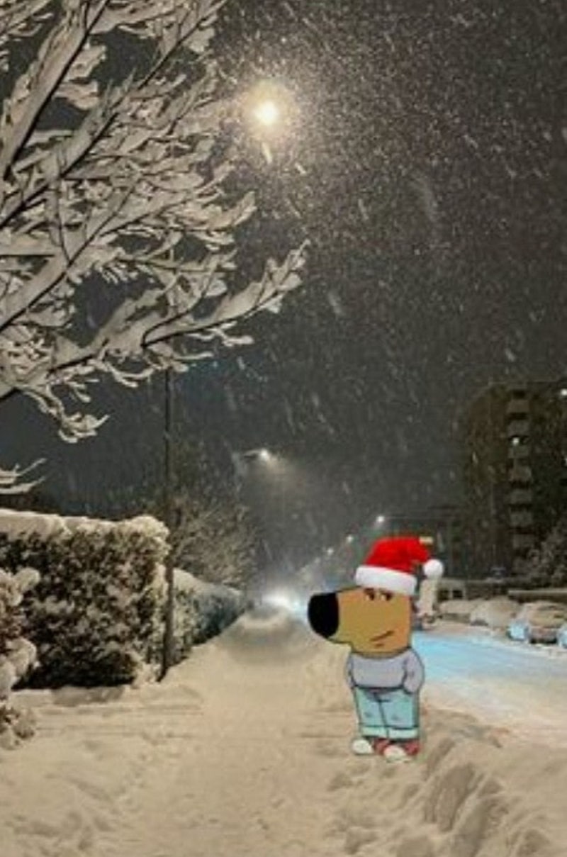 chill guy girl 뜻 , 밈 하다 칠가이 칠걸 원본 배경화면 노래 인형 짤 코인 드립 : 네이버 블로그, image size:800x1209