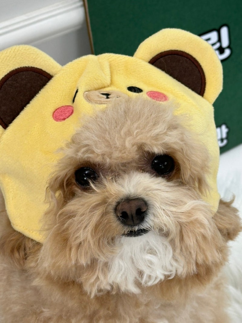 사진 3