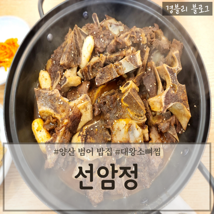  양산범어밥집 대왕소뼈찜맛집 양산보양식추천 '선암정'