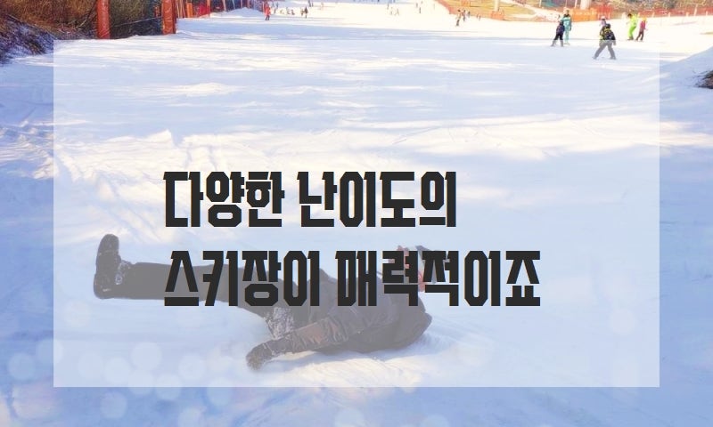 베어스타운 빌라콘도 사진 3