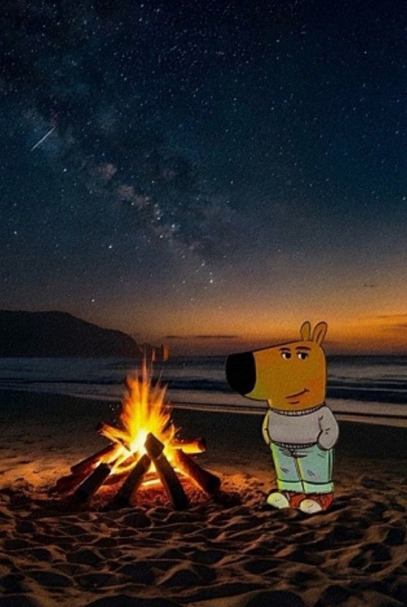 아이폰 배경화면 밈 | TikTok, image size:800x1192