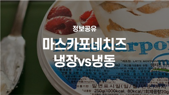 마스카포네치즈 냉장 vs 냉동. 먹고 남은 마스카포네치즈 올바르게 보관하는 방법
